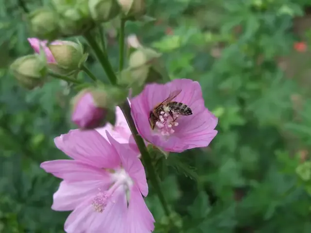 2011.06.26_13.18.3620640x4801-1536x
